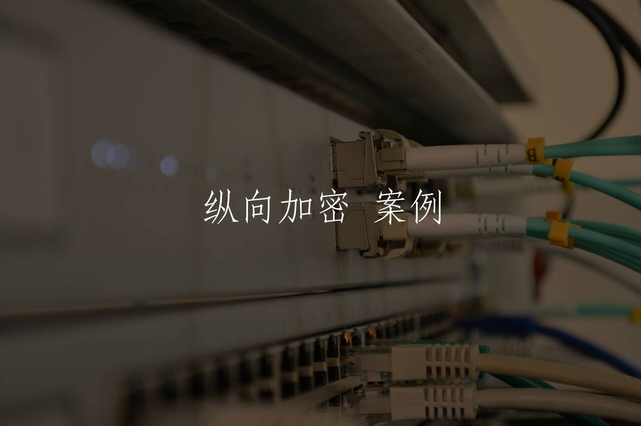 纵向加密 案例 核心概念图