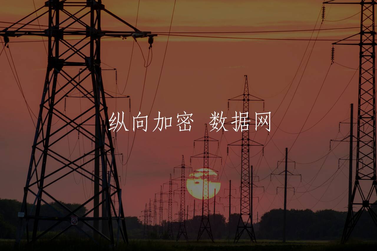 纵向加密 数据网 核心概念图