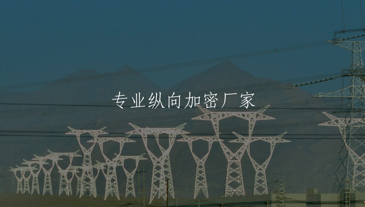 专业纵向加密厂家 核心概念图