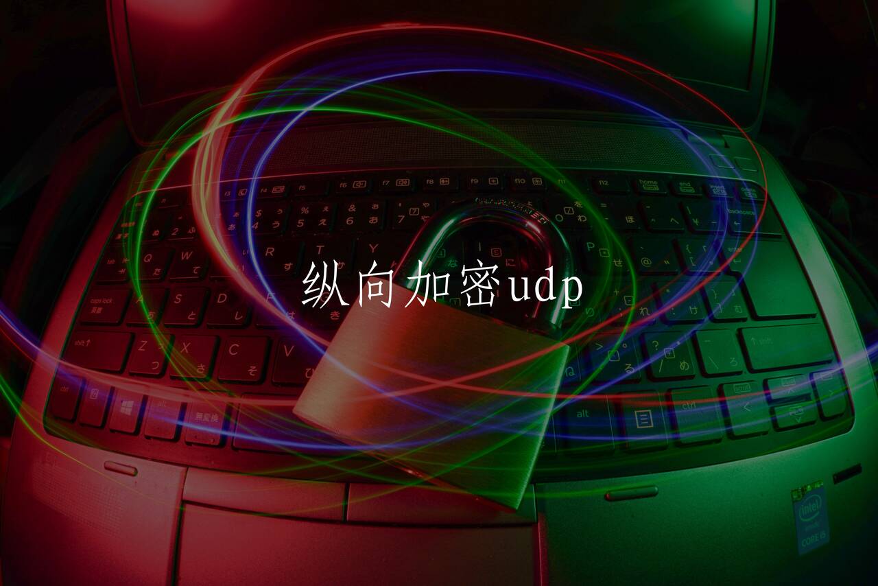 纵向加密udp 核心概念图