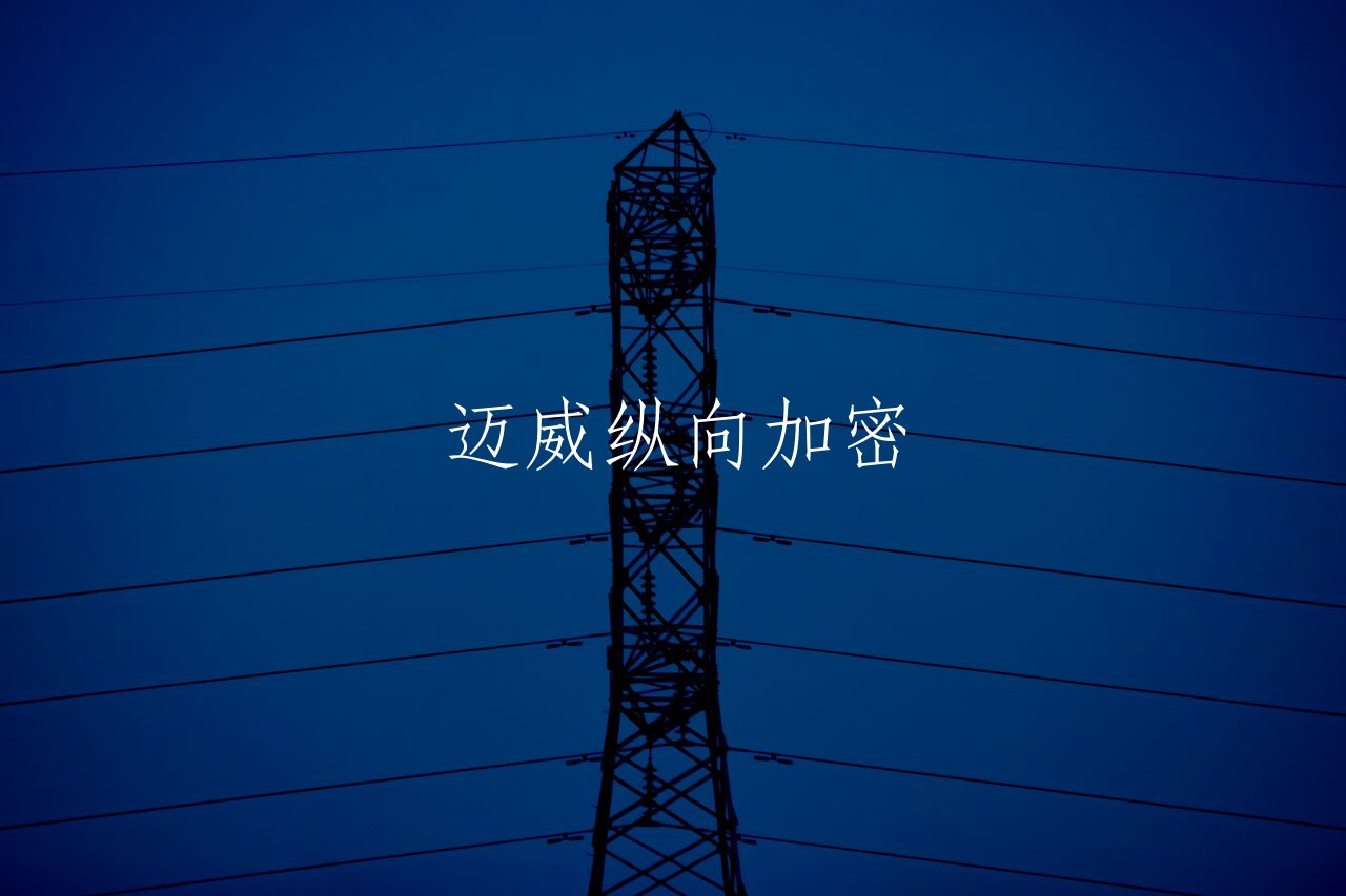 迈威纵向加密 核心概念图