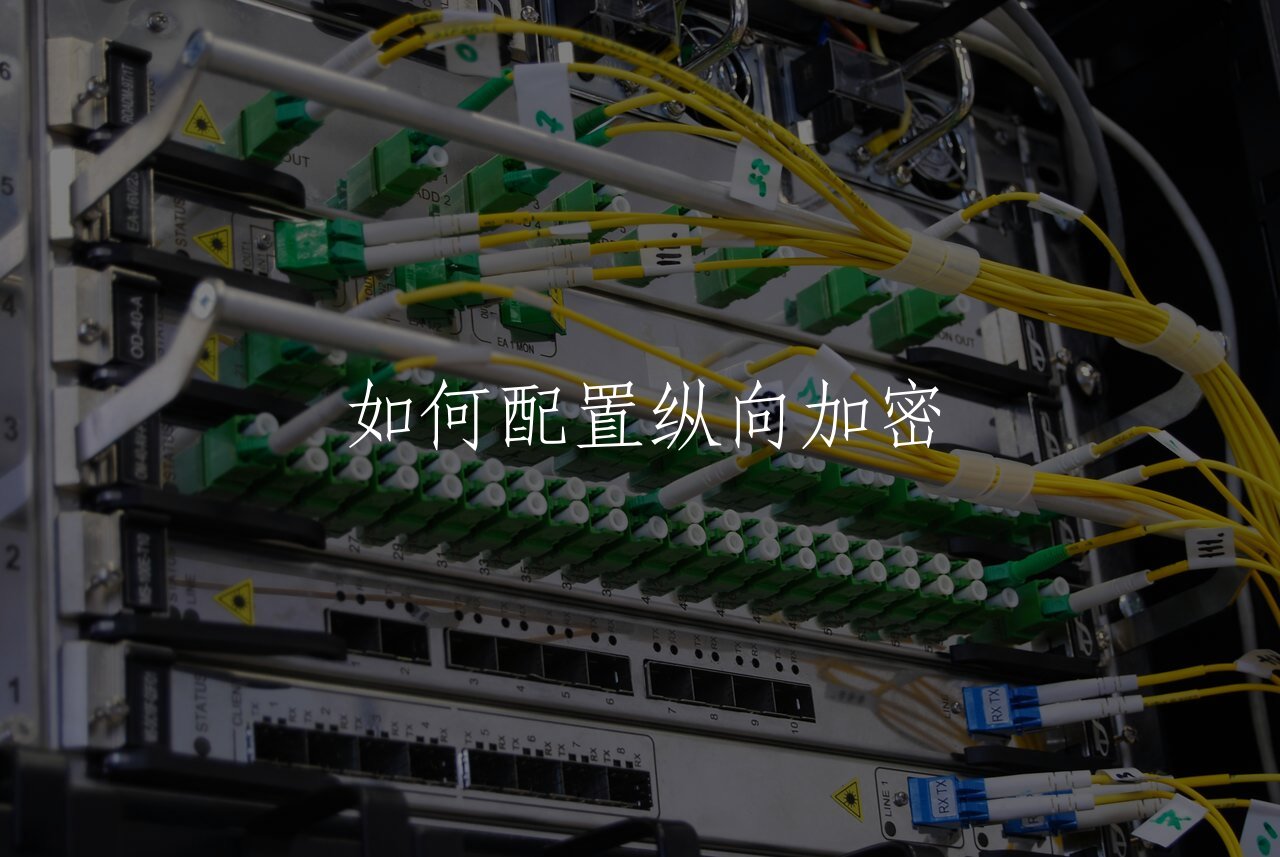 如何配置纵向加密 核心概念图