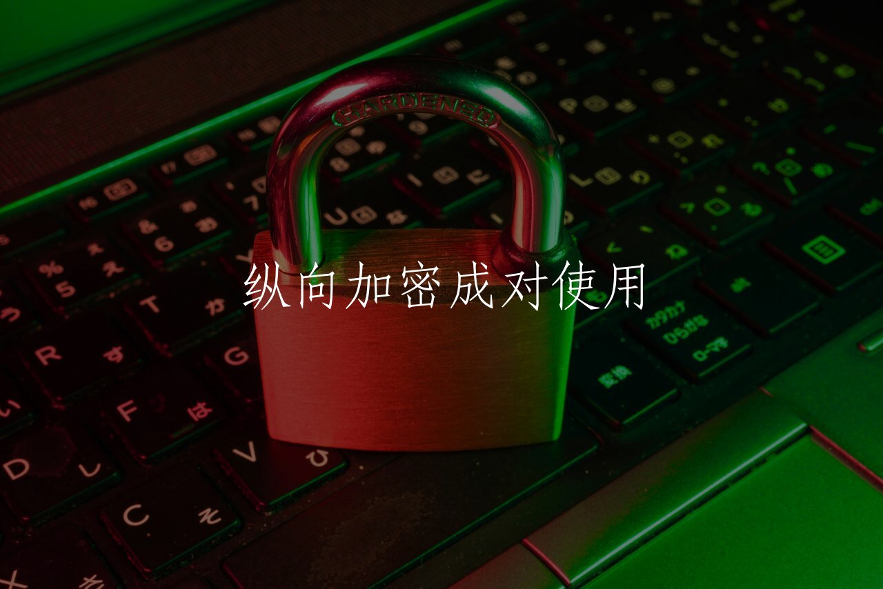 纵向加密成对使用 核心概念图