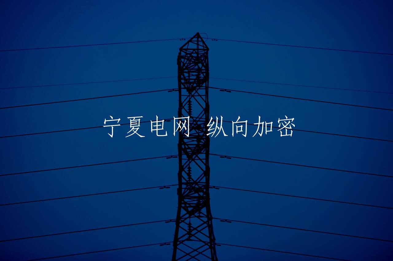 宁夏电网 纵向加密 核心概念图