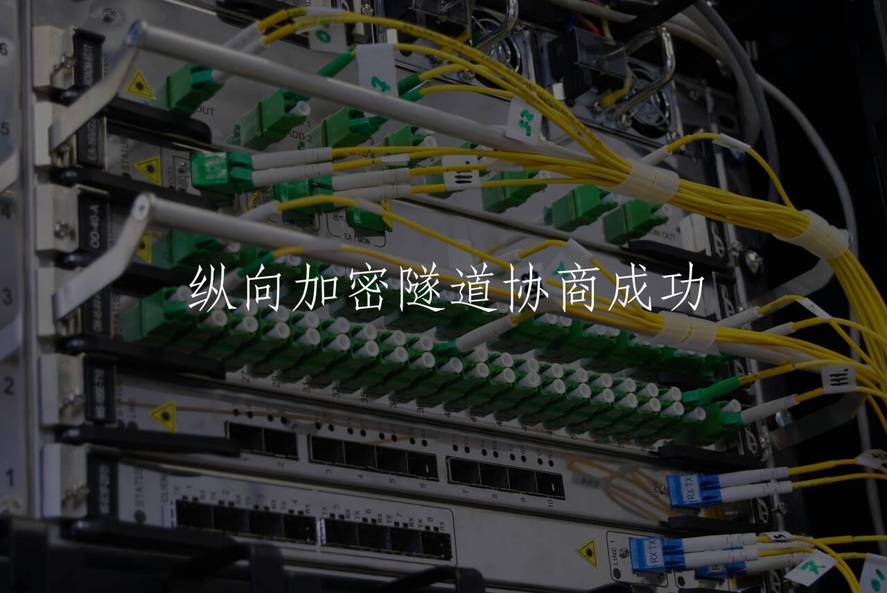 纵向加密隧道协商成功 核心概念图