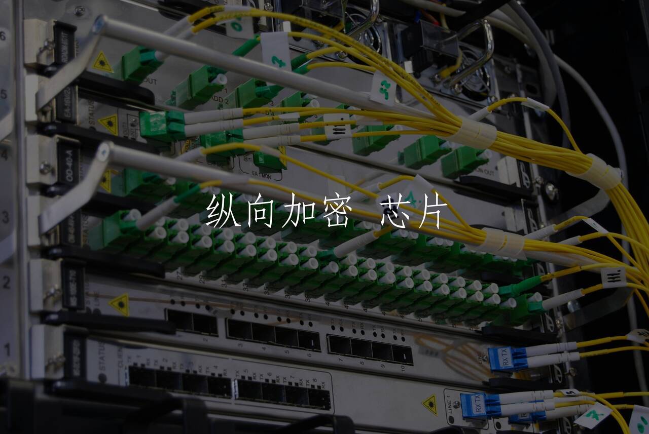 纵向加密 芯片 核心概念图