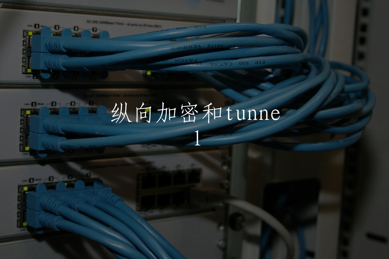 纵向加密和tunnel 核心概念图