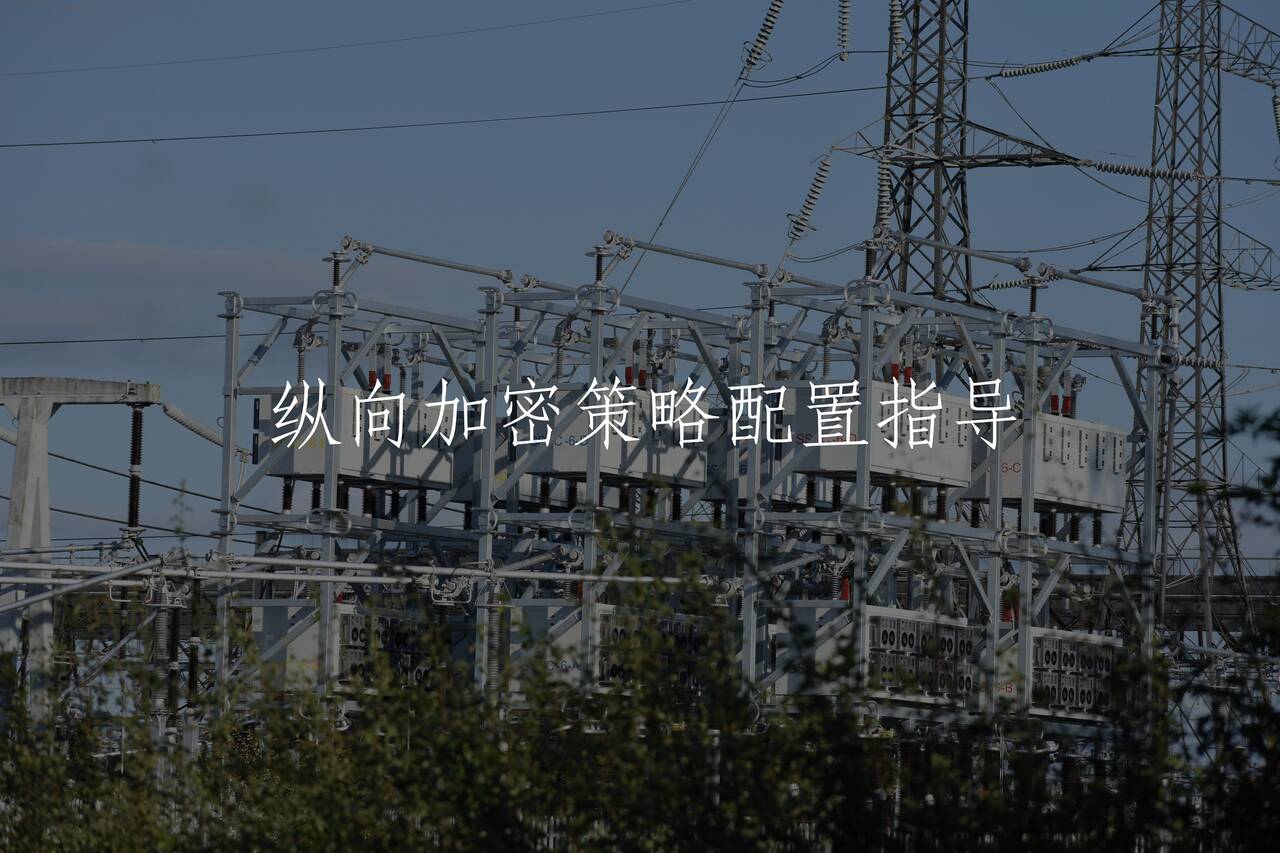 纵向加密策略配置指导 核心概念图