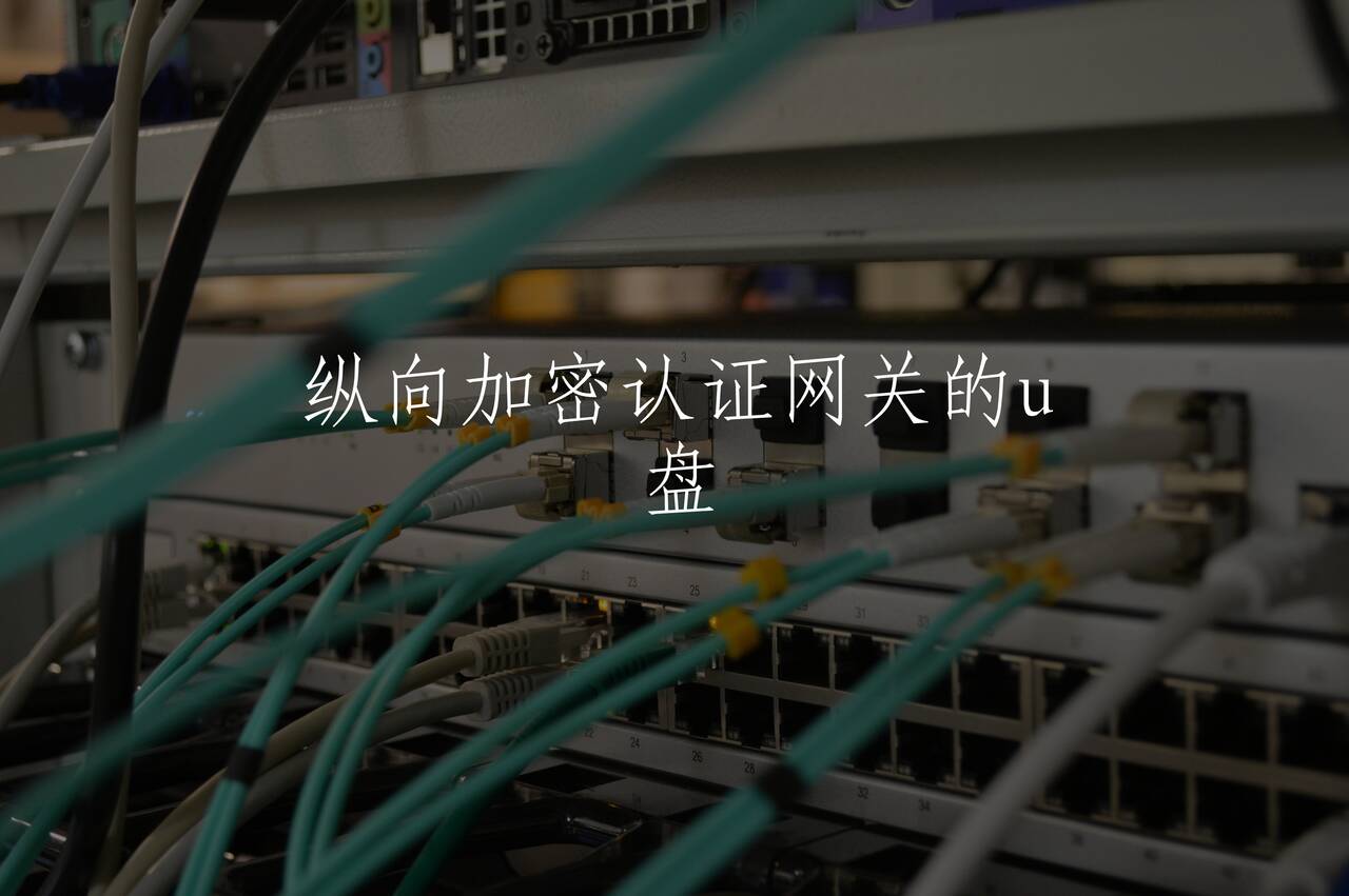 纵向加密认证网关的u盘 核心概念图
