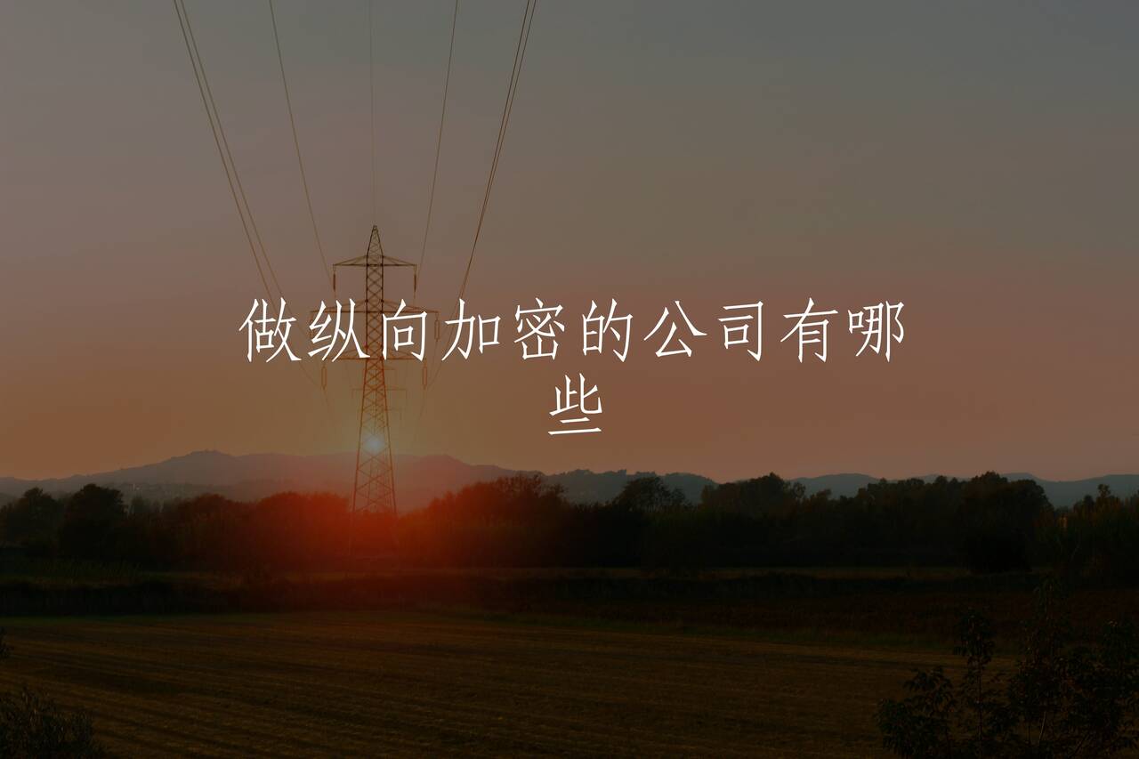 做纵向加密的公司有哪些 核心概念图