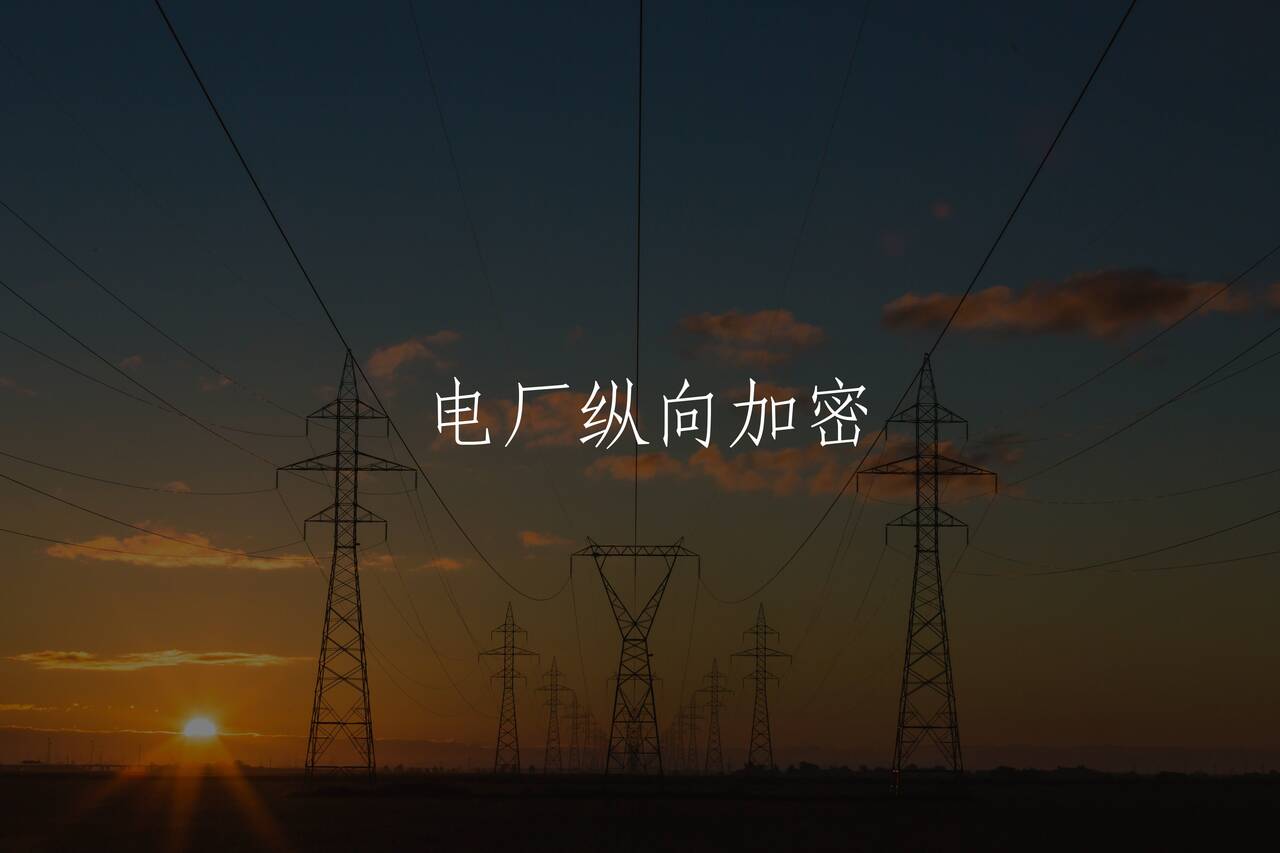 电厂纵向加密 核心概念图