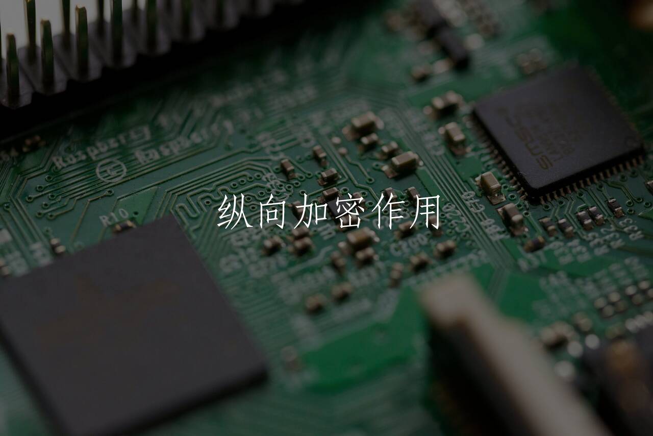 纵向加密作用 核心概念图