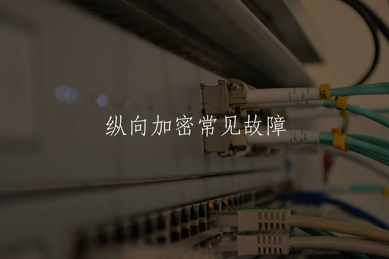 纵向加密常见故障 核心概念图