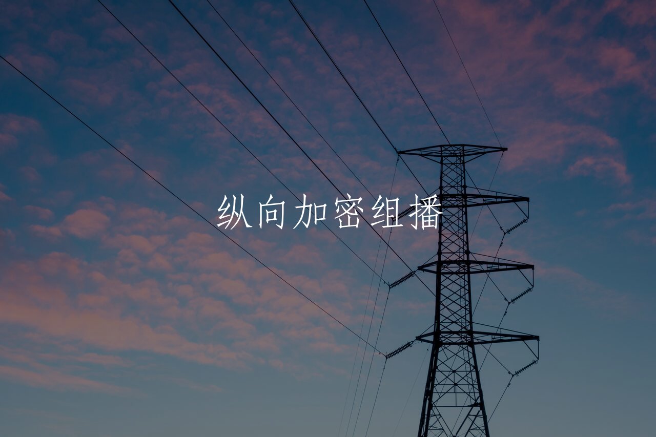 纵向加密组播 核心概念图
