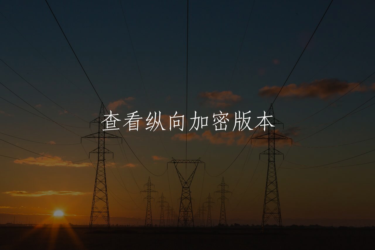 查看纵向加密版本 核心概念图