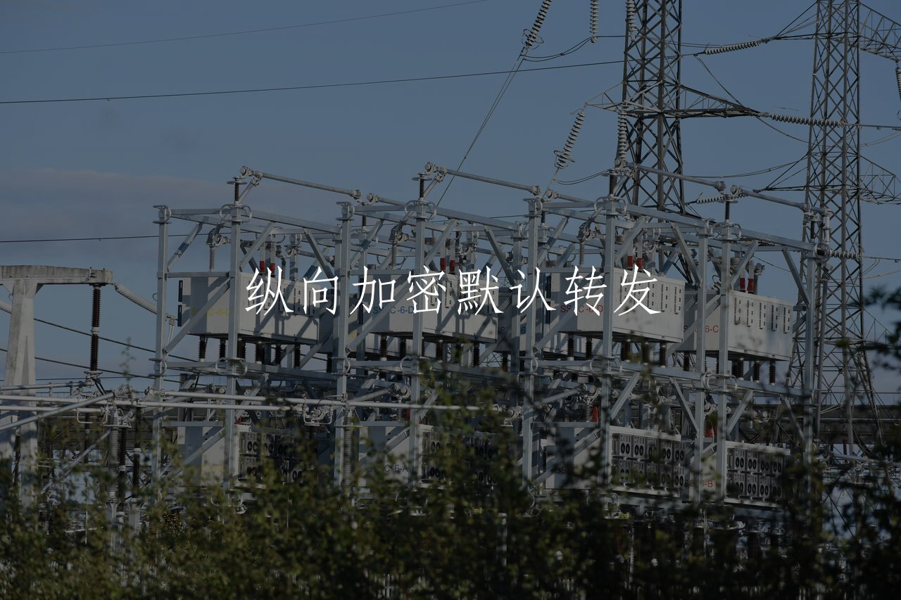 纵向加密默认转发 核心概念图