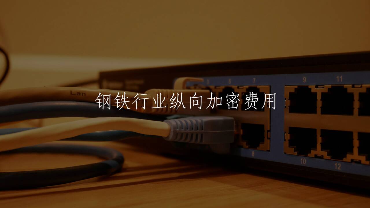 钢铁行业纵向加密费用 核心概念图