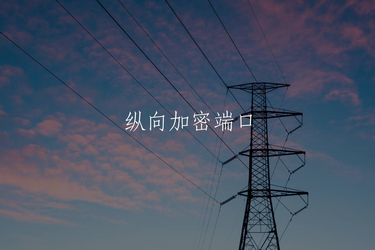 纵向加密端口 核心概念图