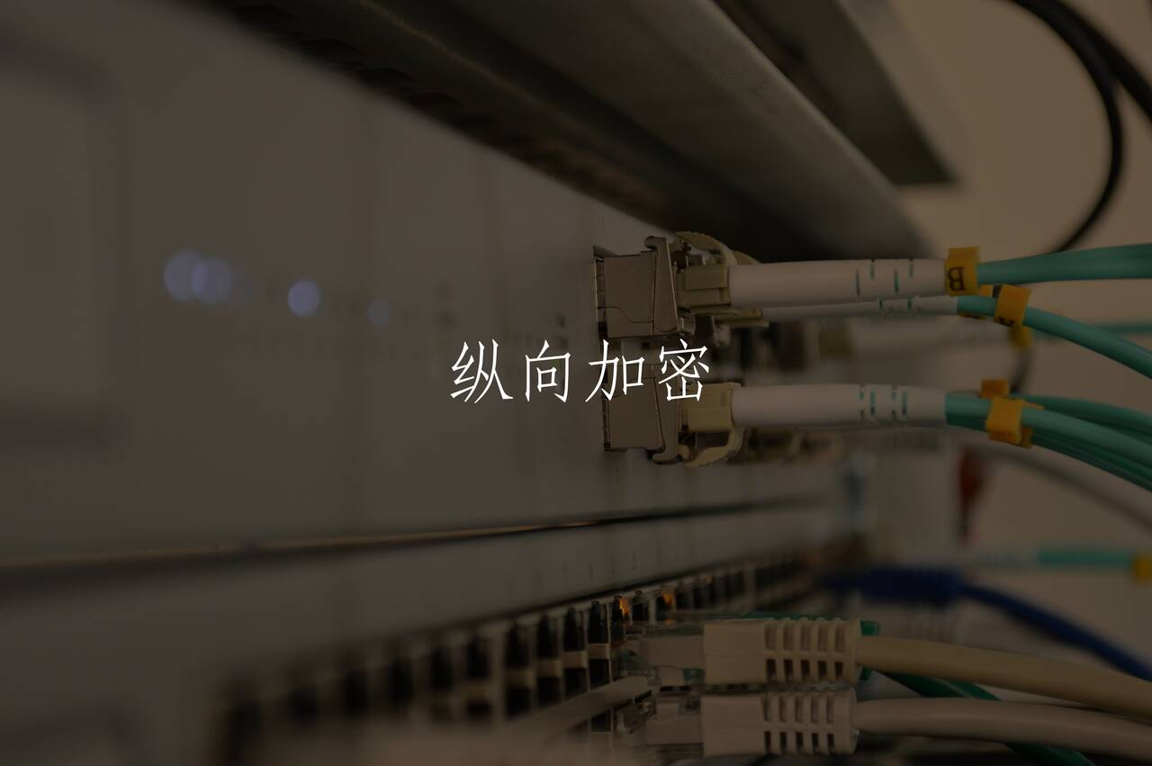 纵向加密 核心概念图