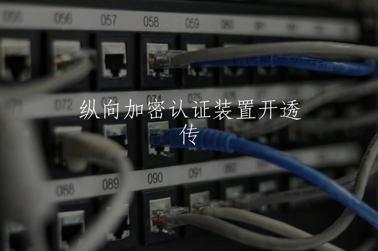纵向加密认证装置开透传 核心概念图