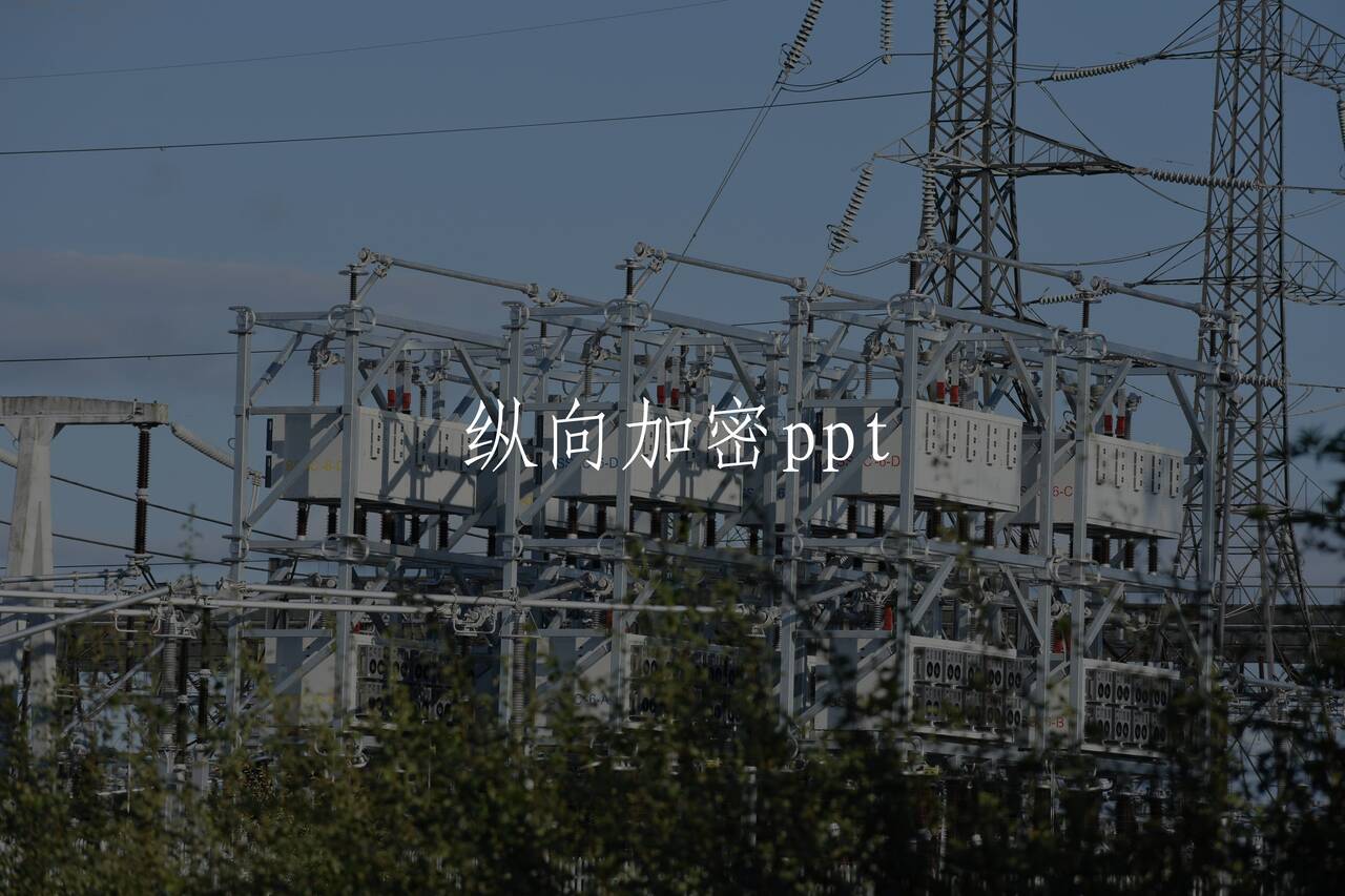 纵向加密ppt 核心概念图