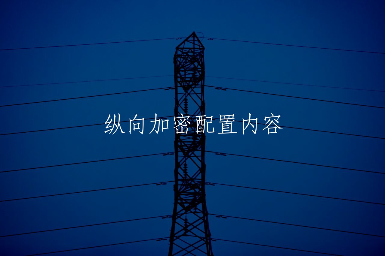 纵向加密配置内容 核心概念图