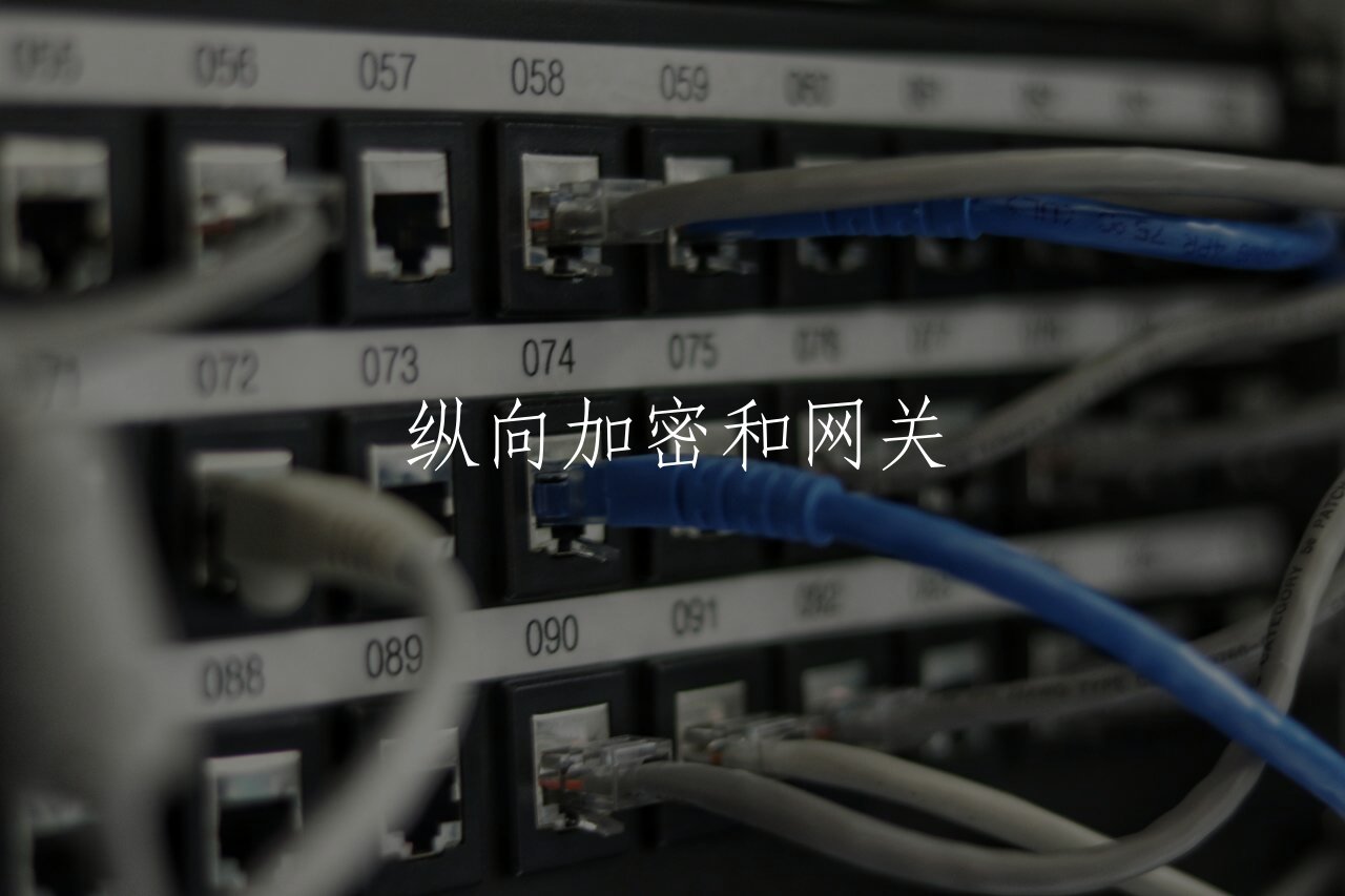 纵向加密和网关 核心概念图