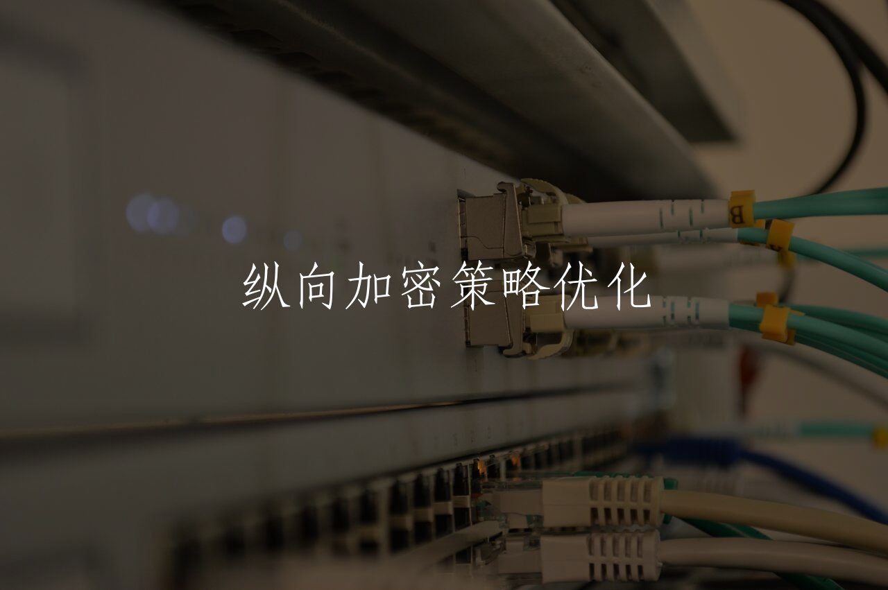 纵向加密策略优化 核心概念图