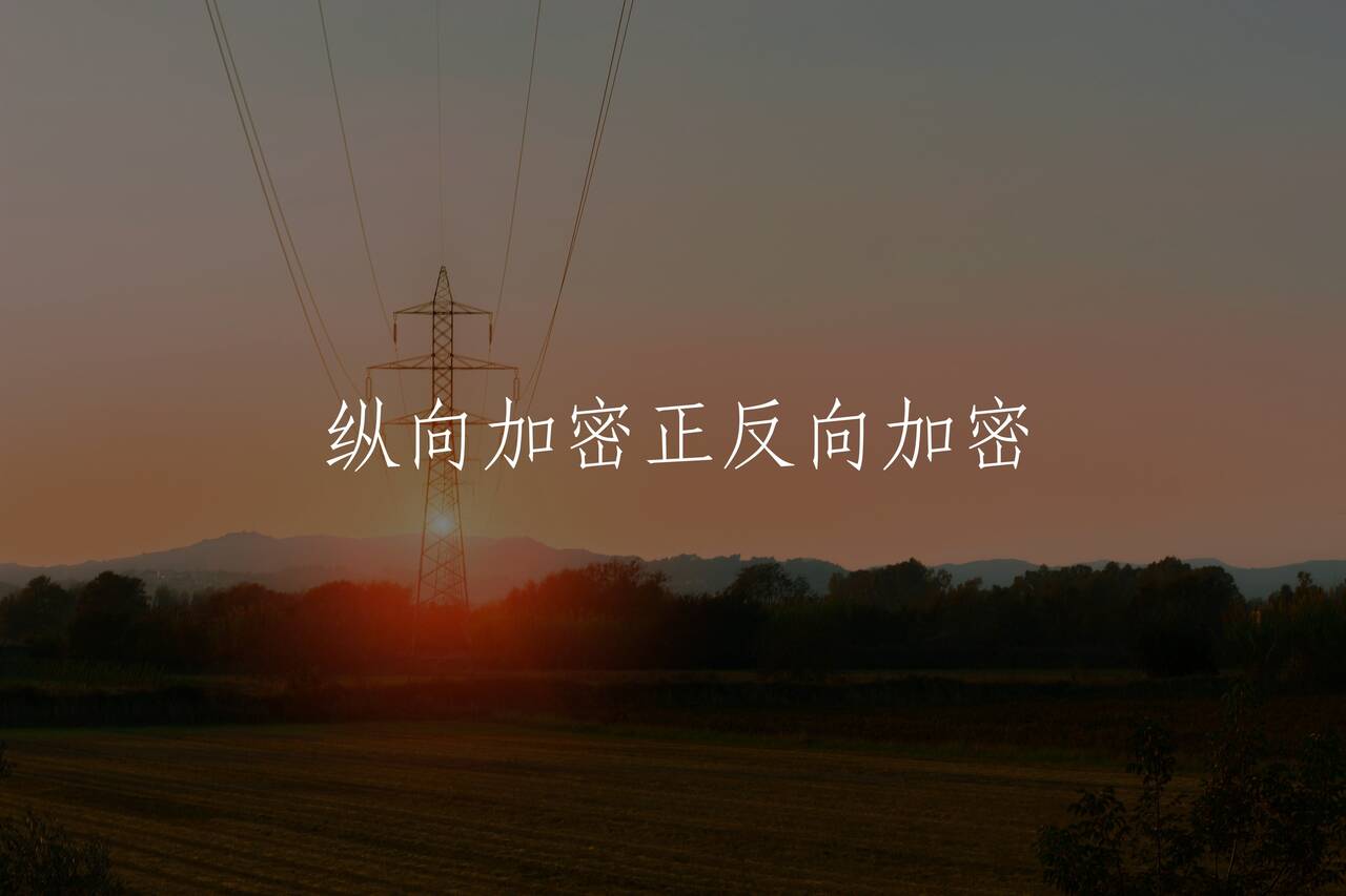 纵向加密正反向加密 核心概念图