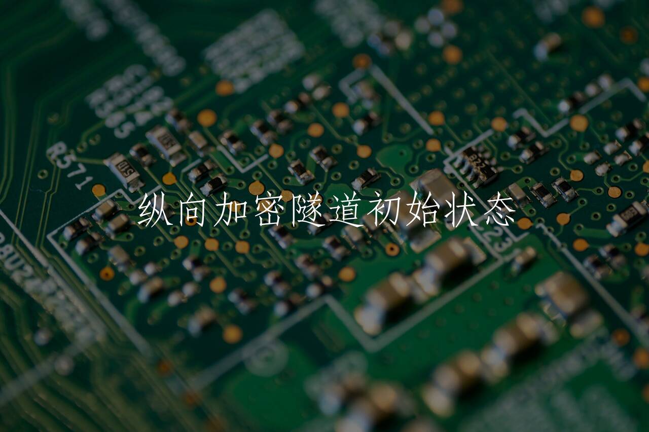 纵向加密隧道初始状态 核心概念图