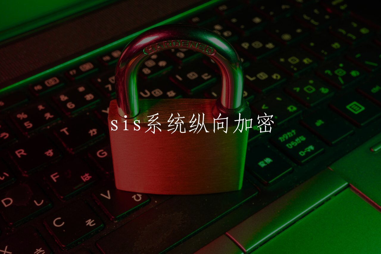 sis系统纵向加密 核心概念图