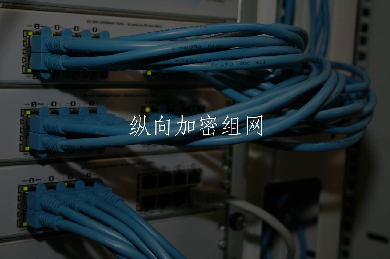 纵向加密组网 核心概念图