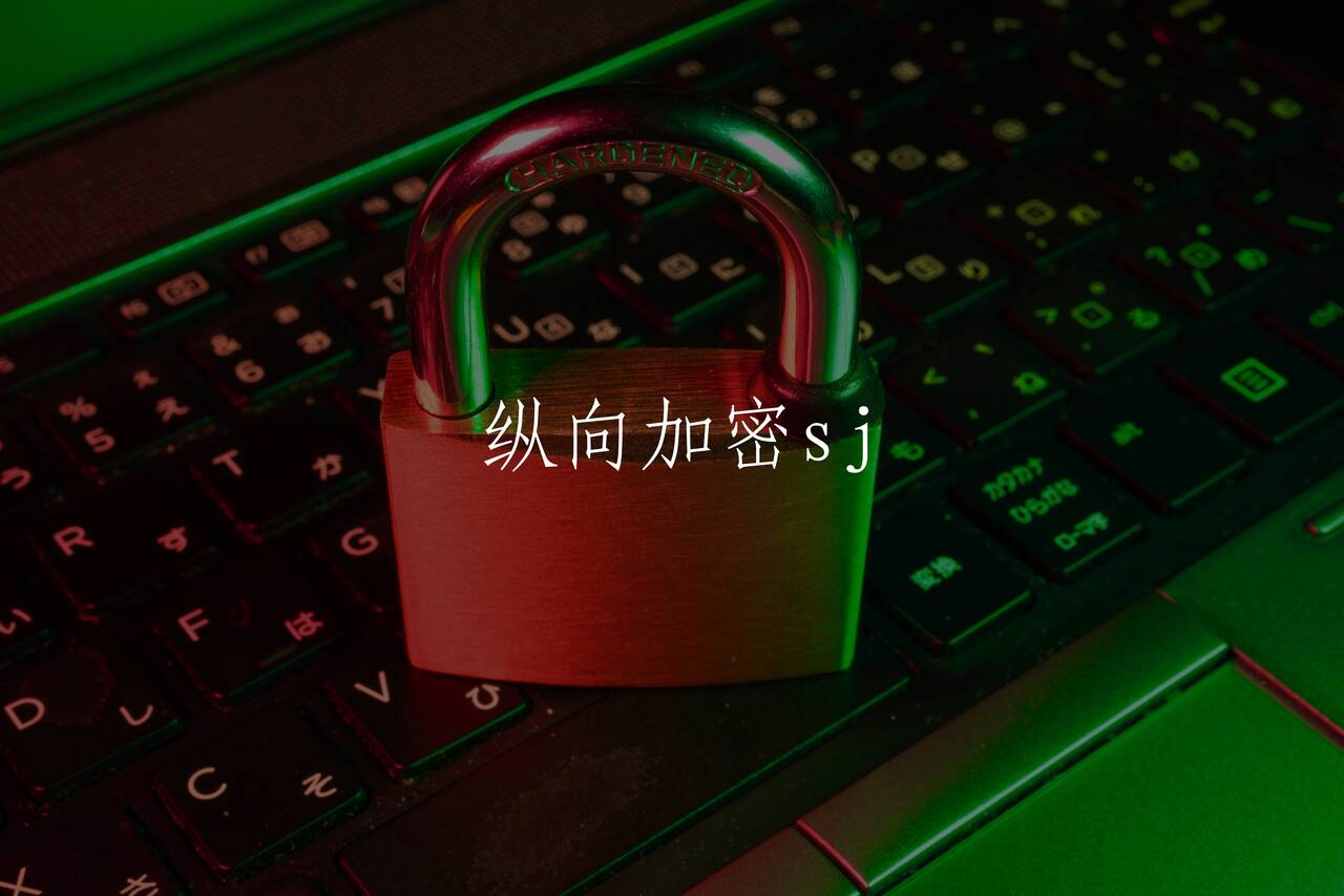 纵向加密sj 核心概念图