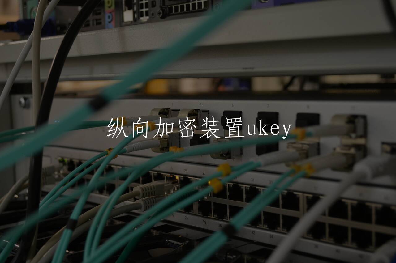 纵向加密装置ukey 核心概念图